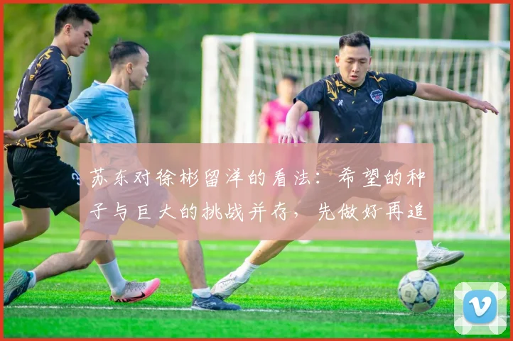 苏东对徐彬留洋的看法：希望的种子与巨大的挑战并存，先做好再追求完美
