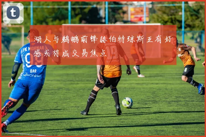 湖人与鹈鹕前锋赫伯特琼斯互有好感或将成交易焦点